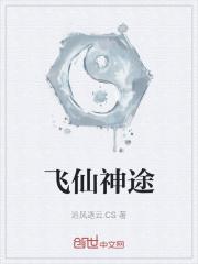 飞扬神途道士攻略