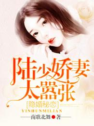 隐婚陆少宠妻