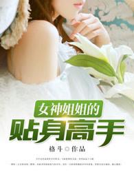 女神姐姐的贴身高手txt