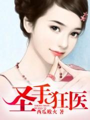 圣手狂医全集观看